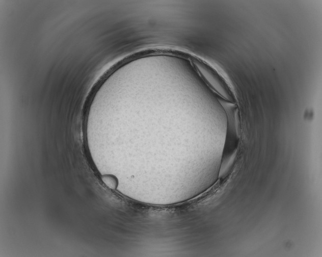 X0000091950887200709271324