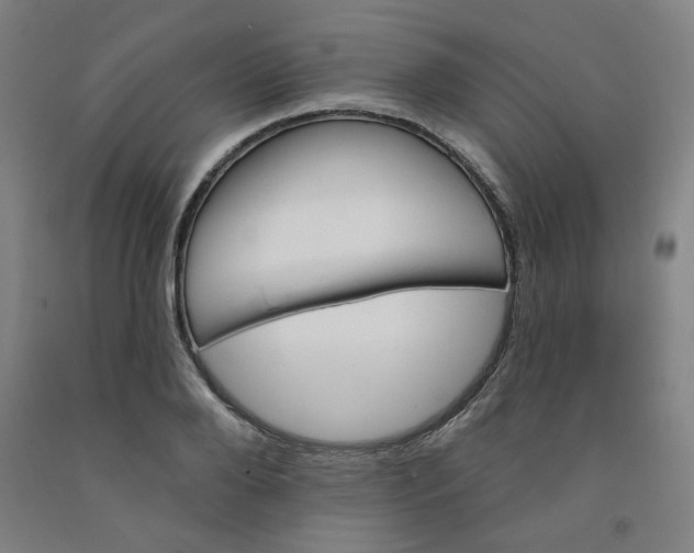 X0000091950888200709271324