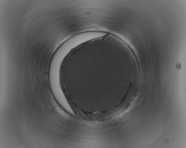 X0000091950889200709271324