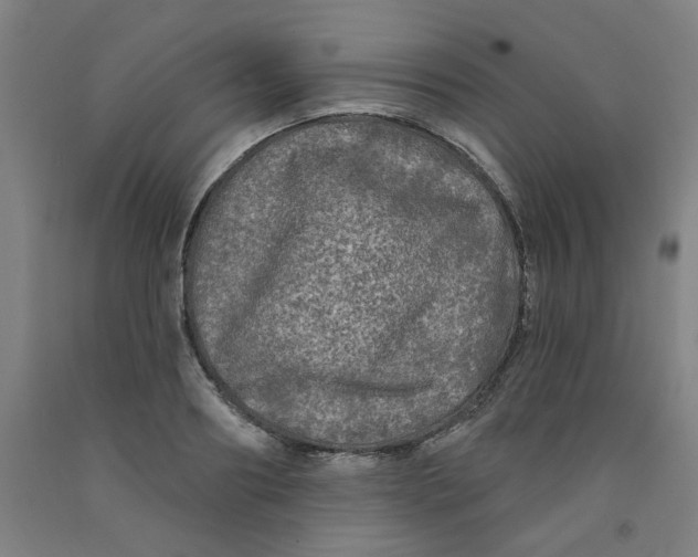 X0000091950890200709271324