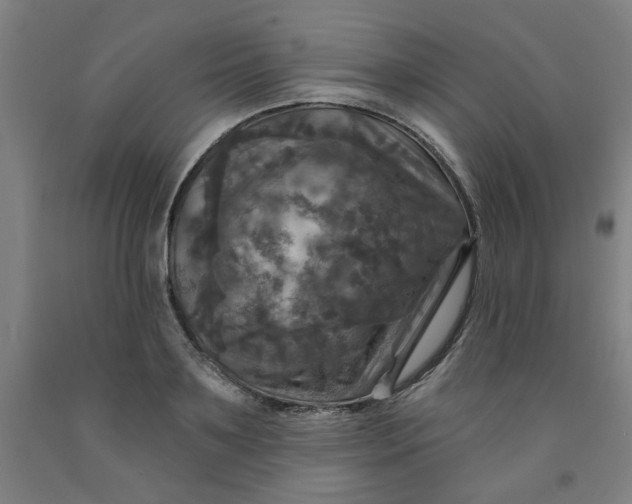 X0000091950891200709271324