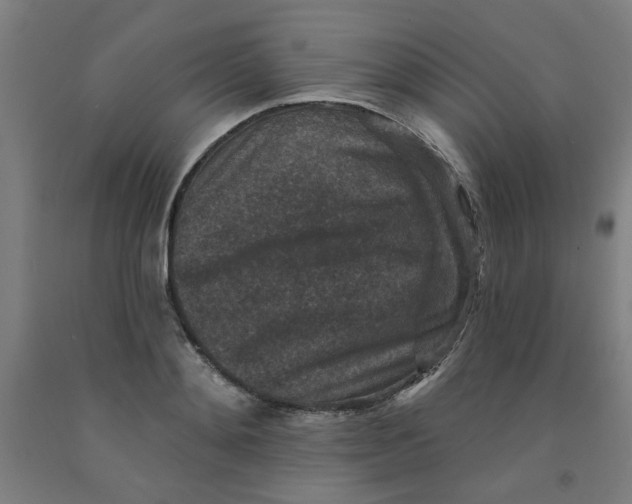 X0000091950892200709271324