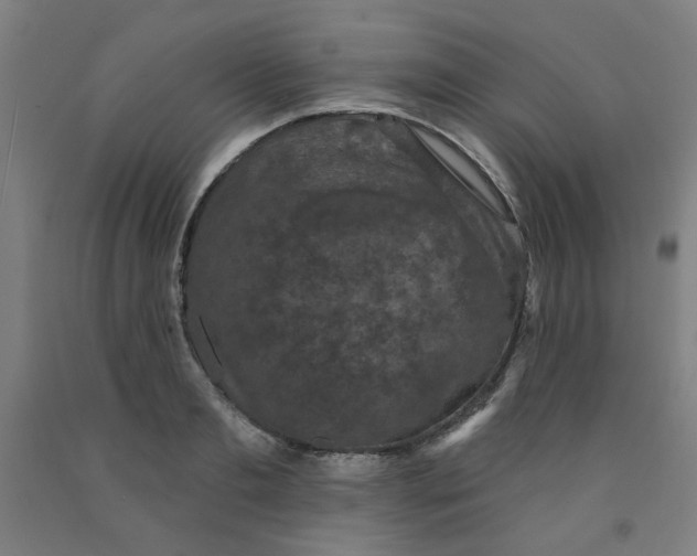 X0000091950893200709271324