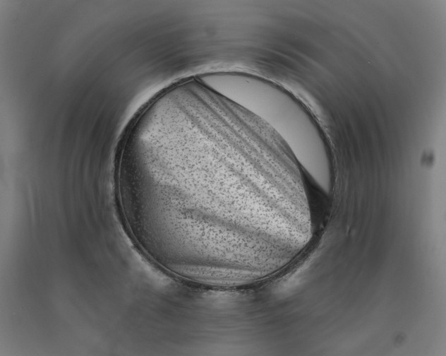 X0000091950894200709271324