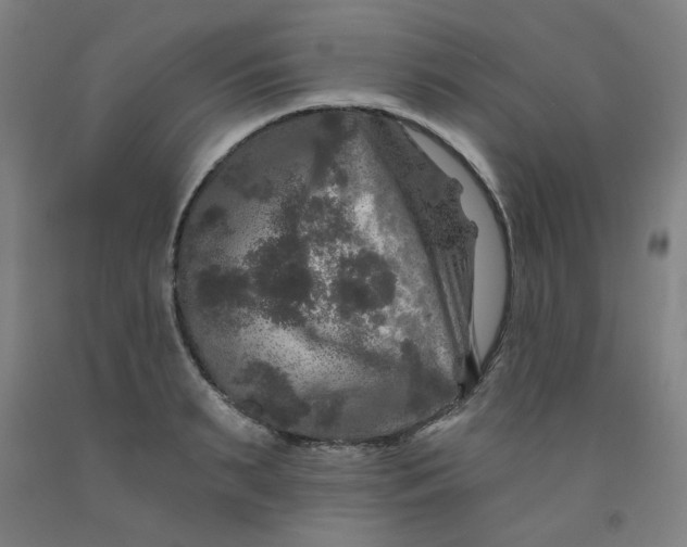 X0000091950895200709271324