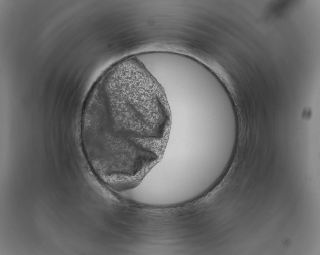 X0000091950896200709271324