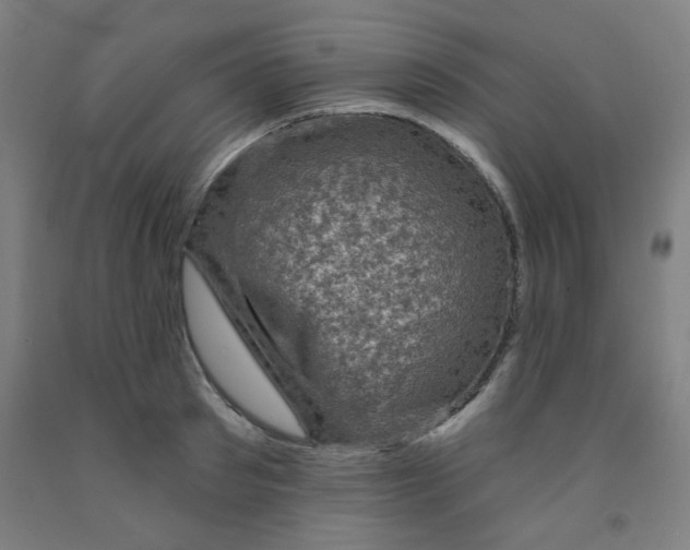 X0000091950897200709271324