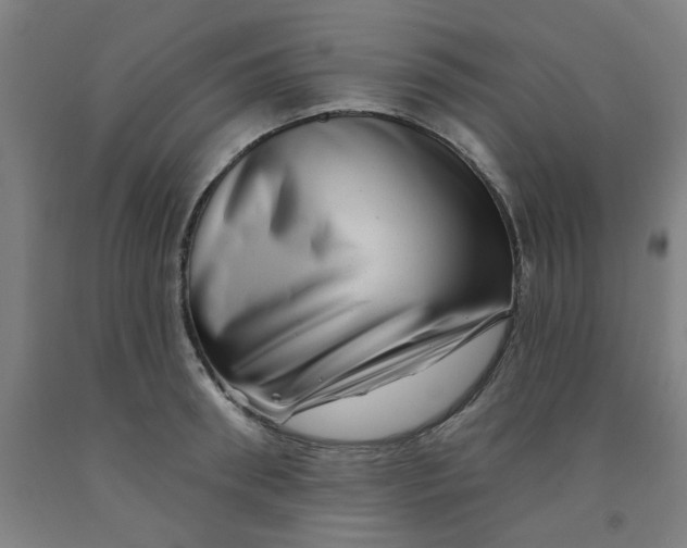 X0000091950898200709271324