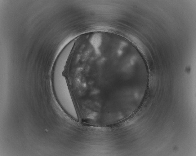 X0000091950899200709271323