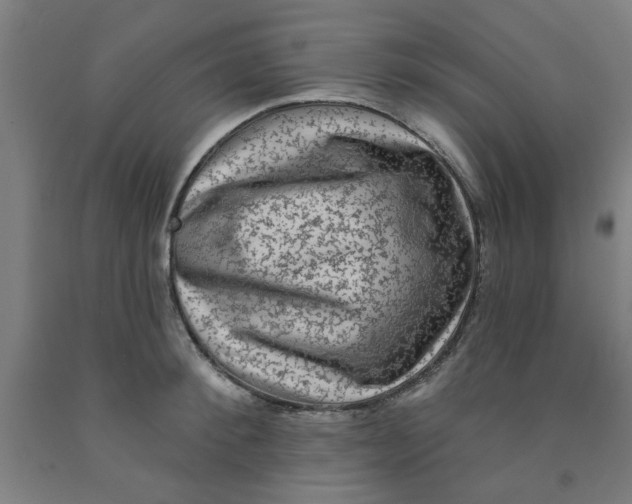 X0000091950900200709271323