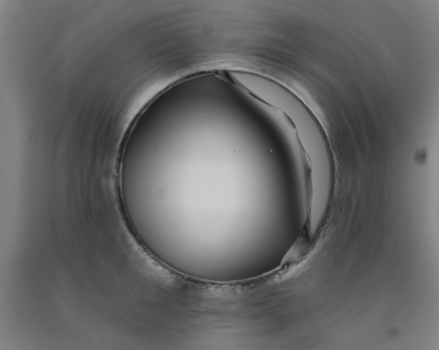 X0000091950901200709271323