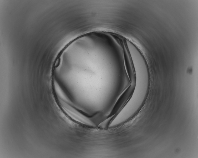 X0000091950902200709271323