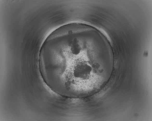 X0000091950903200709271323