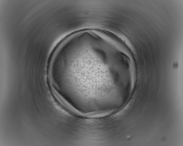 X0000091950904200709271323