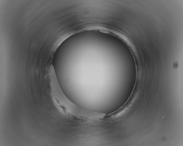 X0000091950905200709271323