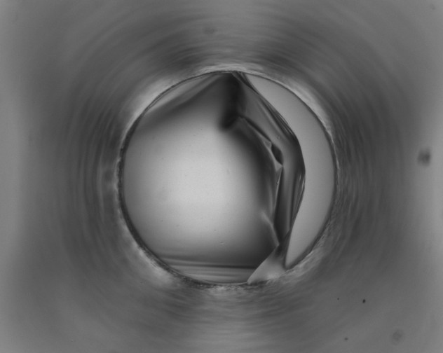 X0000091950906200709271323