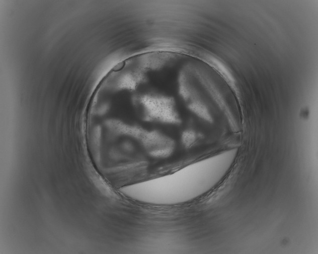 X0000091950907200709271323