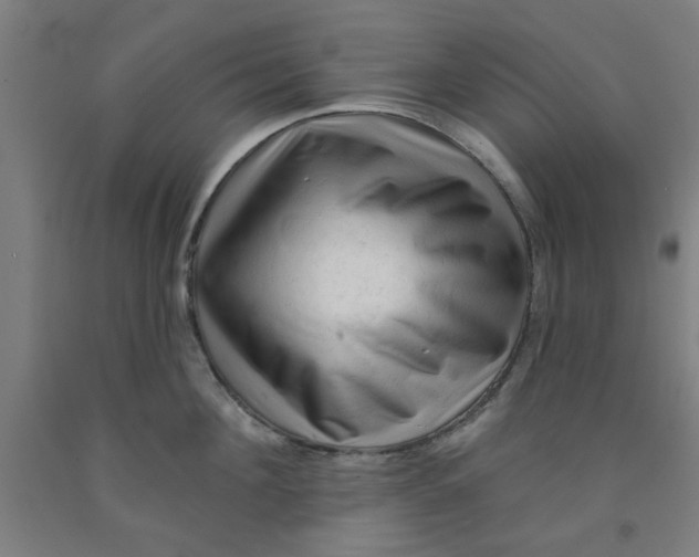 X0000091950908200709271323