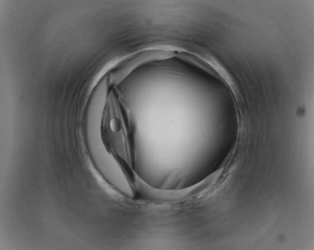 X0000091950909200709271323