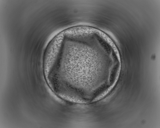 X0000091950910200709271323