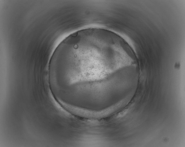 X0000091950911200709271323