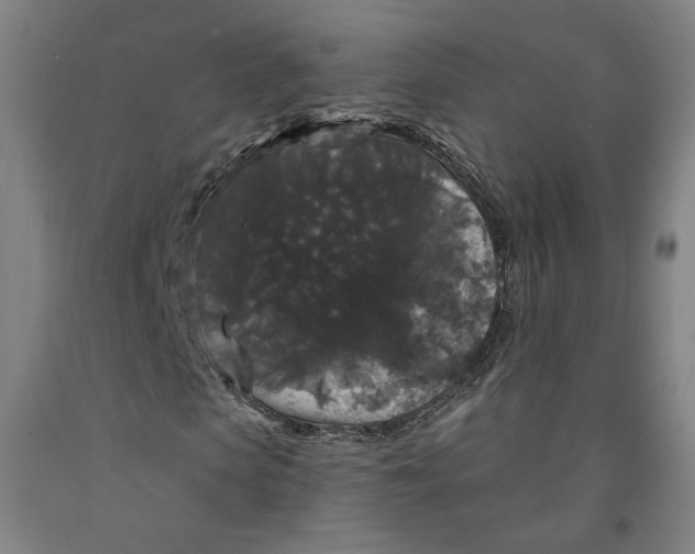 X0000091950913200709271323