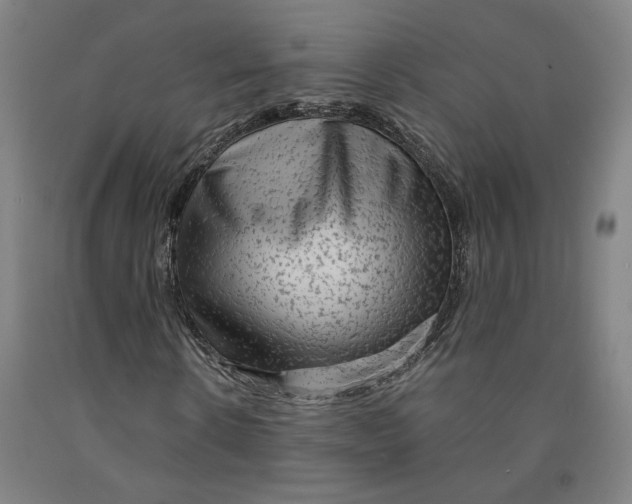 X0000091950914200709271323