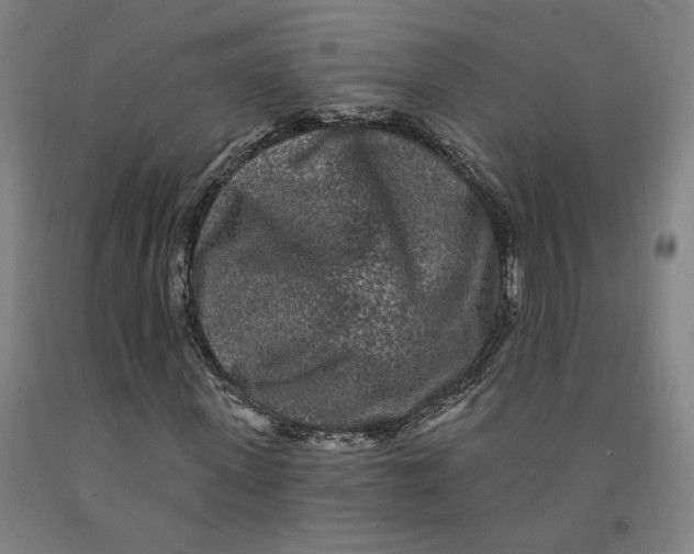 X0000091950915200709271323