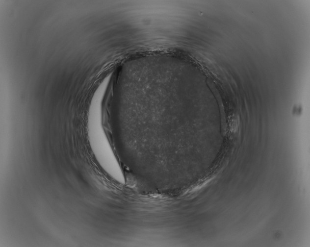 X0000091950916200709271323