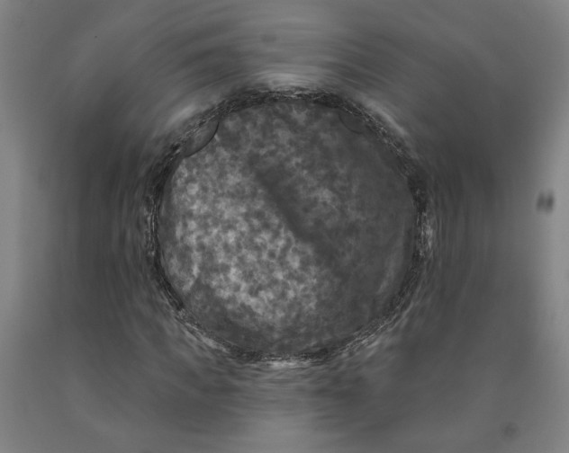 X0000091950917200709271323