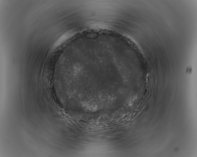 X0000091950919200709271323