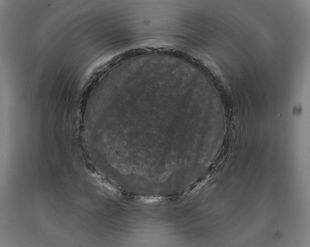 X0000091950920200709271323