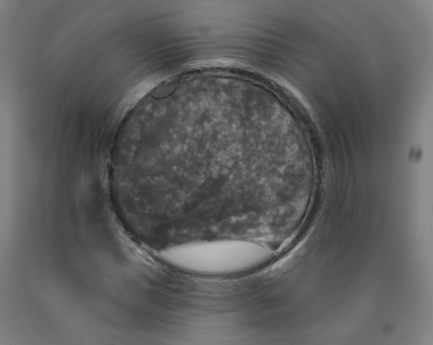 X0000091950921200709271323