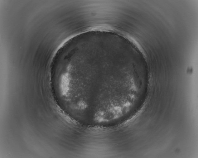 X0000091950923200709271323