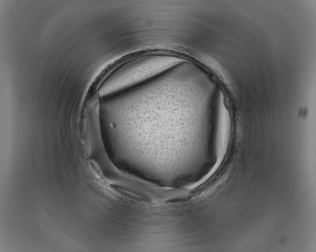 X0000091950924200709271323