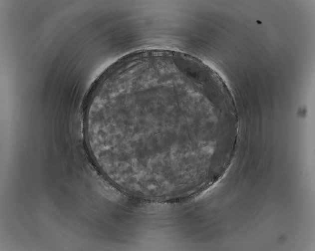 X0000091950925200709271323