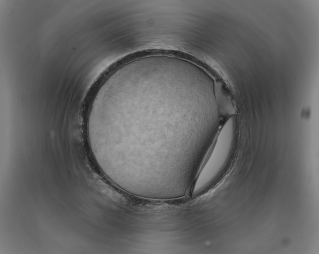 X0000091950926200709271323