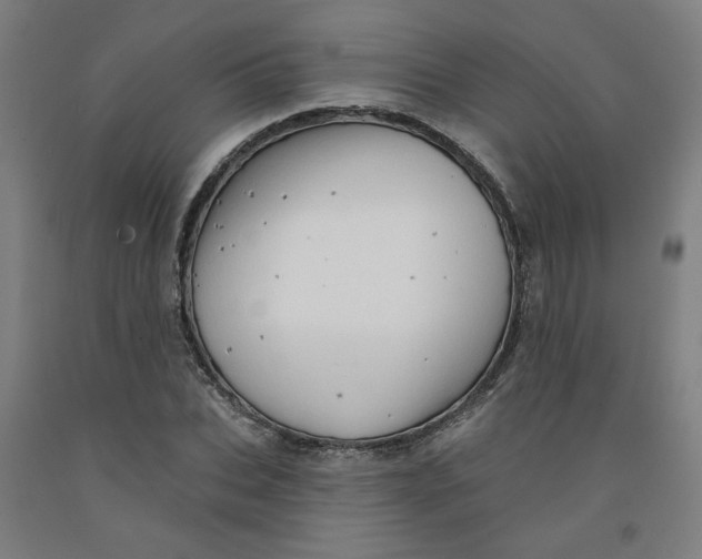 X0000091950927200709271323