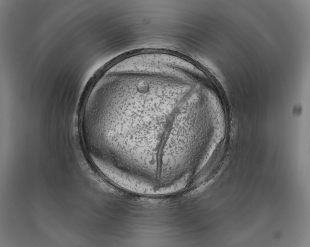 X0000091950928200709271323