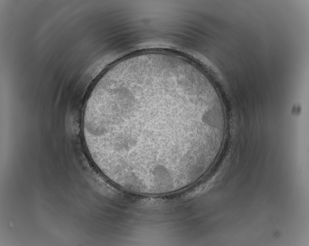 X0000091950929200709271323