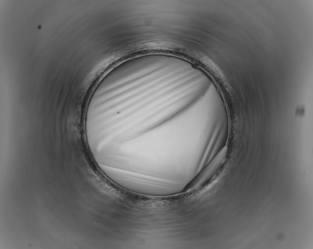 X0000091950930200709271323