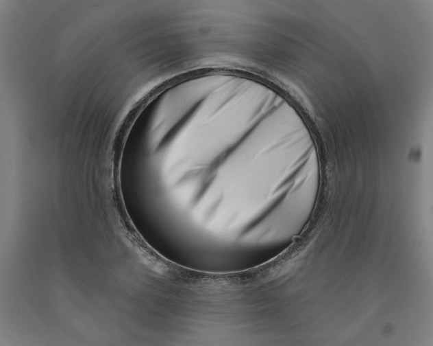 X0000091950931200709271323