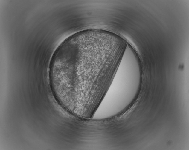 X0000091950932200709271323