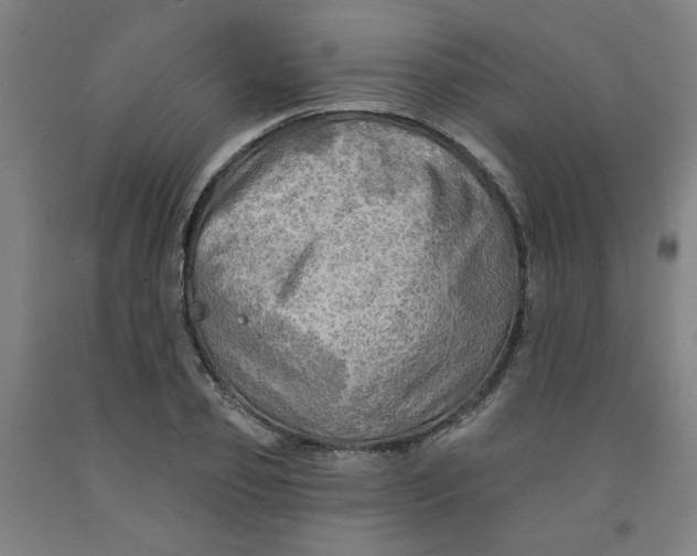 X0000091950933200709271323