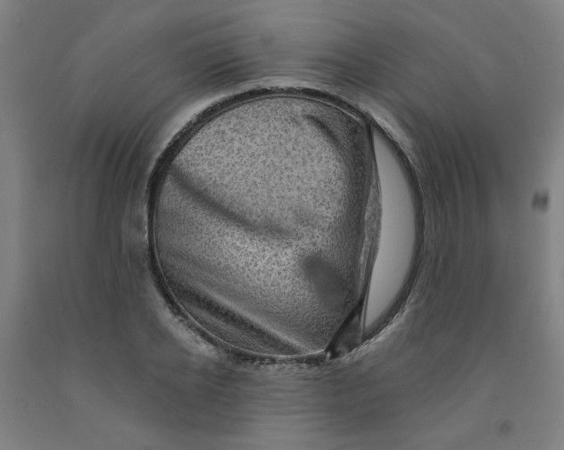 X0000091950934200709271323