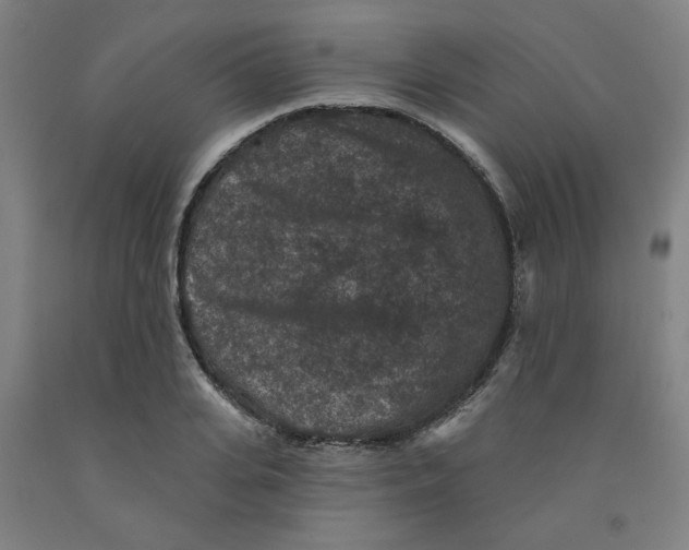 X0000091950935200709271323