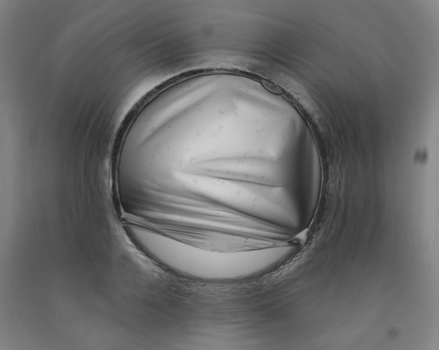 X0000091950936200709271323