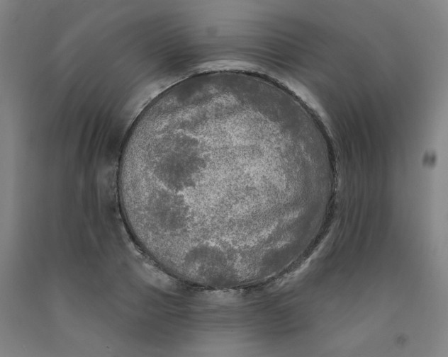 X0000091950937200709271323