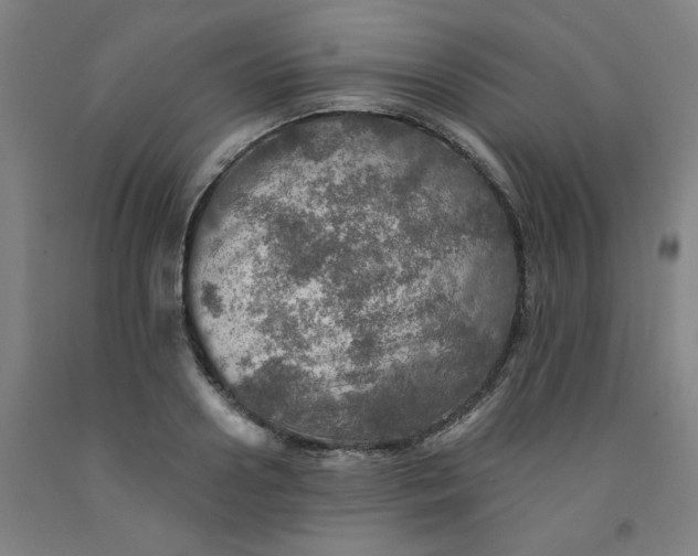 X0000091950938200709271323