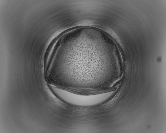 X0000091950939200709271323